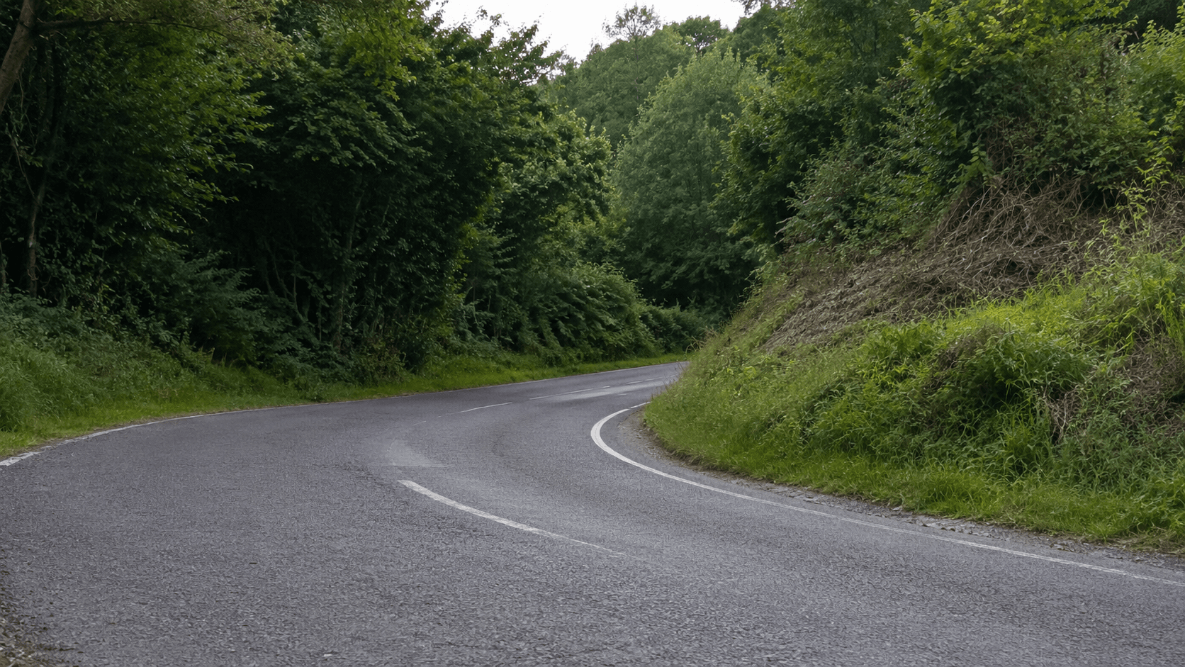 A winding road curving out of sight through dense woodland